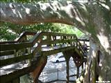 Parque Colón - AGUADILLA